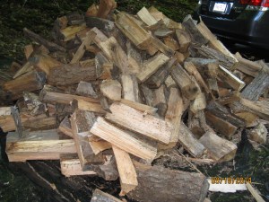 Wood delivered in our Driveway